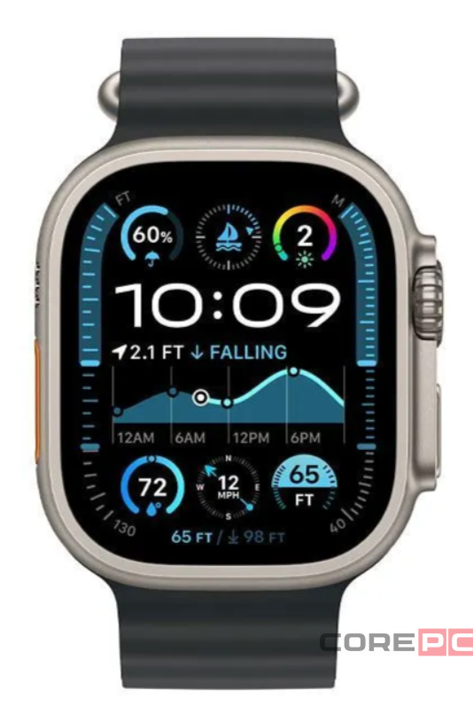 Apple Watch Ultra 2 (2024) 49mm Natural Titanium Case with Black Ocean Band (One Size)