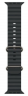 Apple Watch Ultra 2 (2024) 49mm Natural Titanium Case with Black Ocean Band (One Size)