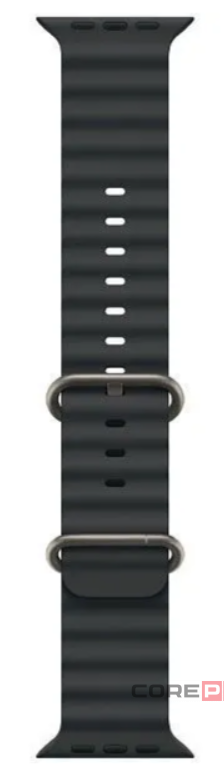 Apple Watch Ultra 2 (2024) 49mm Natural Titanium Case with Black Ocean Band (One Size)