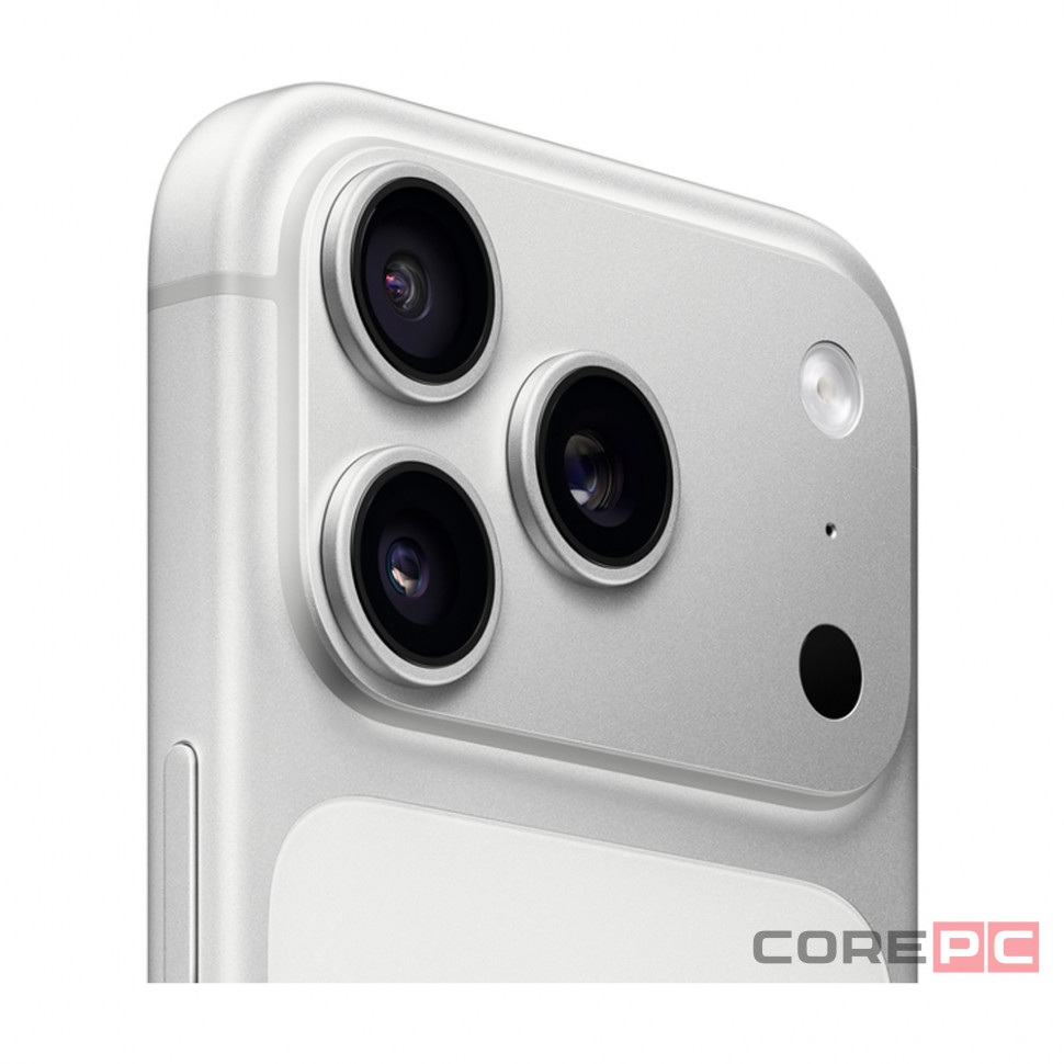 Apple iPhone 17 Pro Max 256Gb (Silver)
