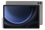 Samsung Galaxy Tab S9 FE+ 128Gb Wi-Fi (Gray)