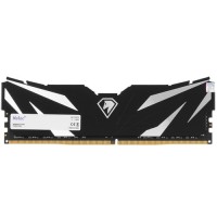 Оперативная память 16 Gb 3200 MHz NETAC SHADOW II Black (NTSWD4P32SP-16K)
