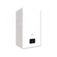 Котел газовый Ferroli DIVA D C24 настенный, 2 конт., откр. кам. сгор.