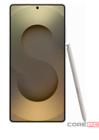 Samsung Galaxy S25 Ultra 12/1Tb (Titanium Gray)