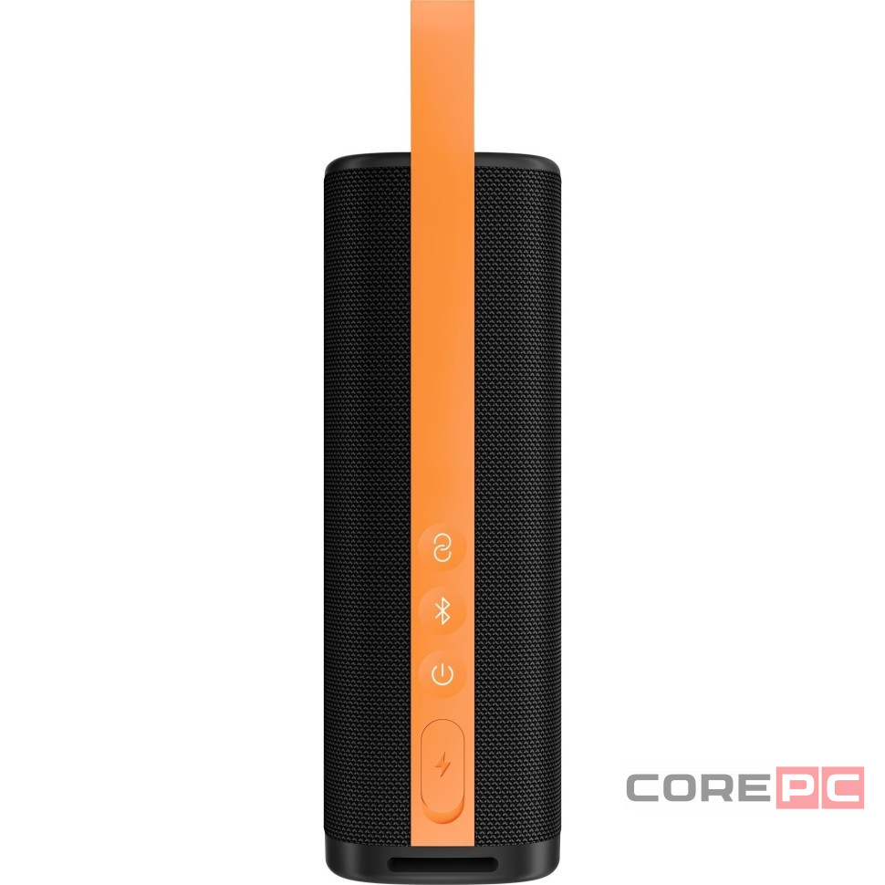 Bluetooth колонка Xiaomi Sound Outdoor 30W MDZ-38-DB (Global) черная