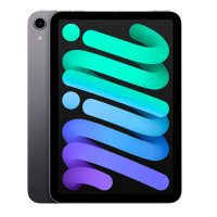 Apple iPad mini (2021) Wi-Fi 256Gb (Space Gray)