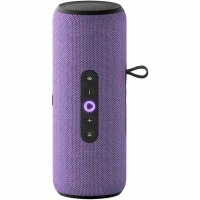 Умная колонка Яндекс.Станция Стрит с Алисой (YNDX-00030) (Фиолетовый)