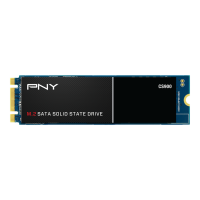 Твердотельный накопитель PNY 1000 Gb CS900  M280CS900-1TB-RB