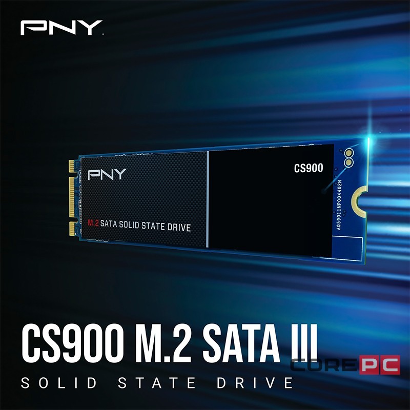 Твердотельный накопитель PNY 1000 Gb CS900 M280CS900-1TB-RB