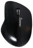 Мышь беспроводная Smartbuy 309AG (SBM-309AG-K)/40 черная