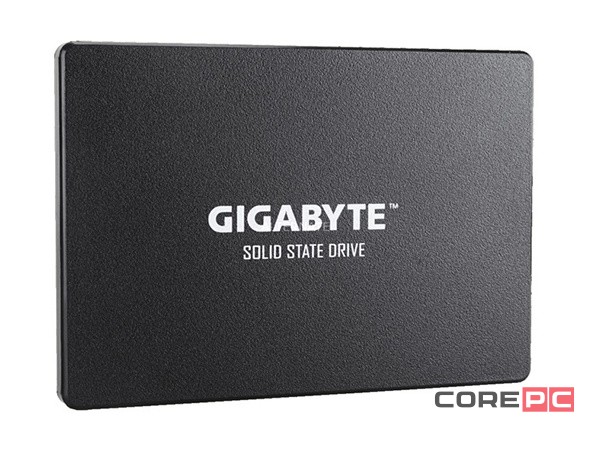 Твердотельный накопитель Gigabyte 1000 Gb GP-GSTFS31100TNTD