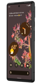 Google Pixel 6 8/256Gb (Stormy Black)