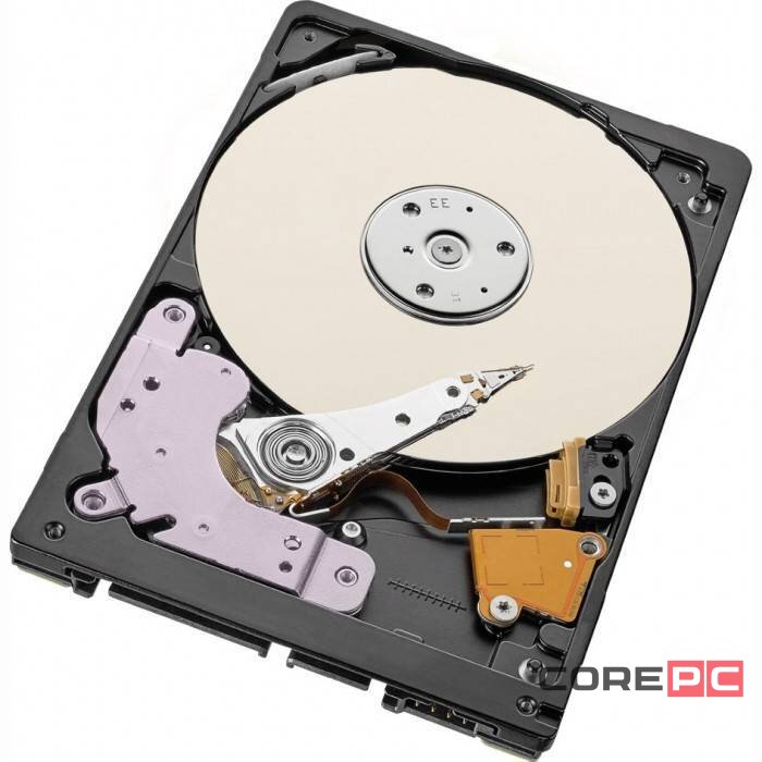 Жесткий диск Seagate 1000 Gb (ST1000LM048)