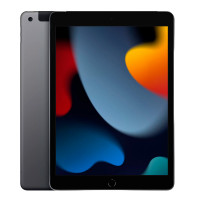 Apple iPad (2021) Wi-Fi 256Gb (Space Gray)