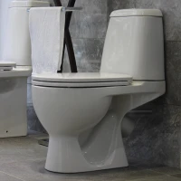 Унитаз компакт Sanita luxe WC.CC/Max/2-DM/WHT.G/S1 с сиденьем, микролифт, цвет белый