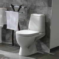 Унитаз компакт Sanita luxe WC.CC/Max/2-DM/WHT.G/S1 с сиденьем, микролифт, цвет белый