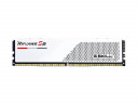 Оперативная память 96 Gb 5200 MHz G.Skill RIPJAWS S5 (F5-5200J4040A48GX2-RS5W)