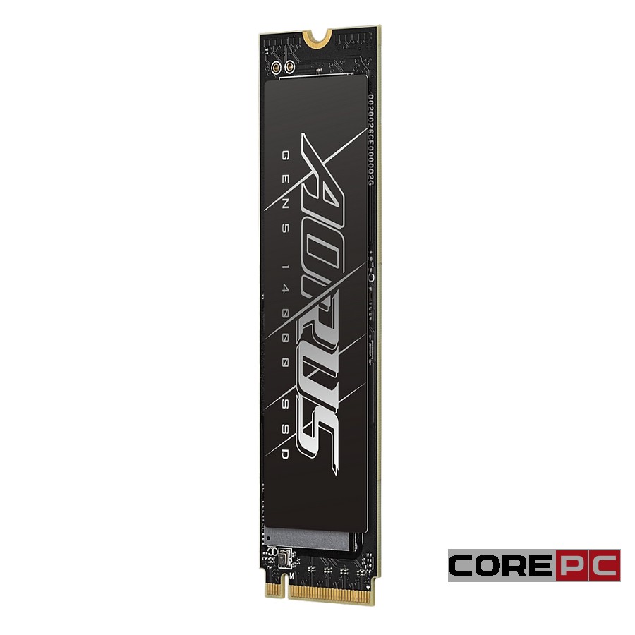 Твердотельный накопитель Gigabyte 4000 Gb AORUS (AG514K4TB)