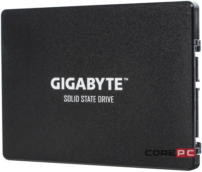 Твердотельный накопитель Gigabyte 256 Gb (GP-GSTFS31256GTND)
