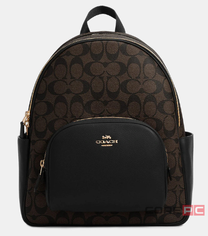 Рюкзак COACH (10011285JAX) (Gold/Brown Black)