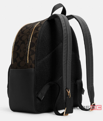 Рюкзак COACH (10011285JAX) (Gold/Brown Black)