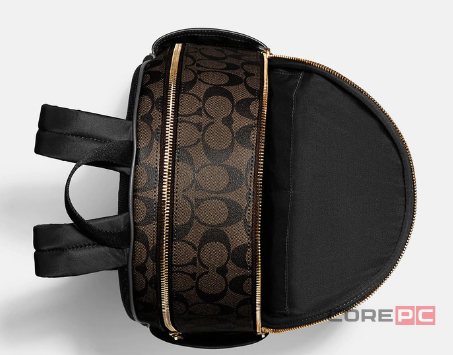 Рюкзак COACH (10011285JAX) (Gold/Brown Black)