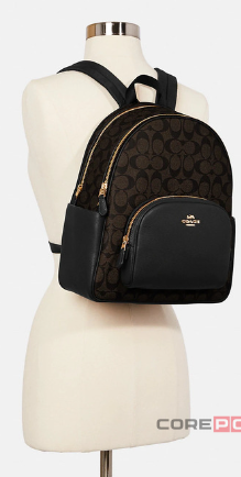 Рюкзак COACH (10011285JAX) (Gold/Brown Black)