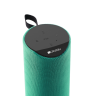 Портативная колонка Canyon BSP-51 Wireless Speaker (CNS-CBTSP5G) (зеленый)