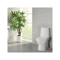 Унитаз компакт Sanita luxe WC.CC/Next/2-DM/WHT.G/S1 с сиденьем, микролифт, цвет белый