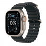 Apple Watch Ultra 3 49mm Natural Titanium Case with Black Ocean Band (One Size)