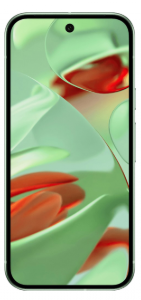 Google Pixel 9 5G 12/128Gb (Wintergreen)