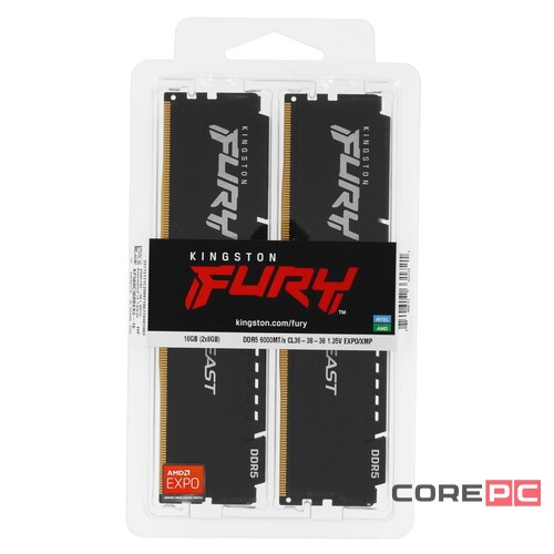 Оперативная память 16 Gb 6000 MHz Kingston FURY Beast EXPO Black (KF560C36BBEK2-16)