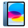 Apple iPad (2022) Wi-Fi + Cellular 256Gb (Blue)