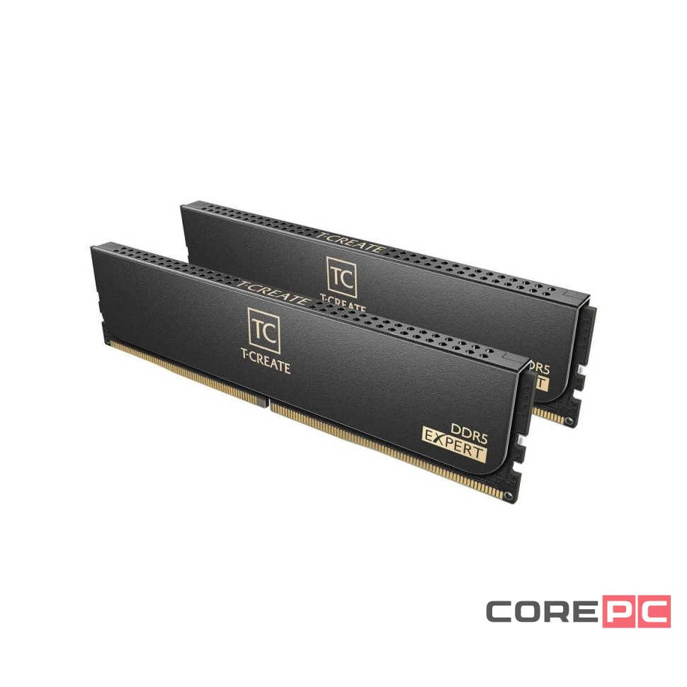 Оперативная память 32 Gb 6000 MHz Team Group T-CREATE Expert Black (CTCED532G6000HC38ADC01)