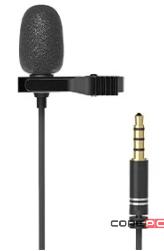 Микрофон Ritmix RCM-110 петличка/2м/3.5мм черный