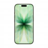 Apple iPhone 17 512Gb (Sage)