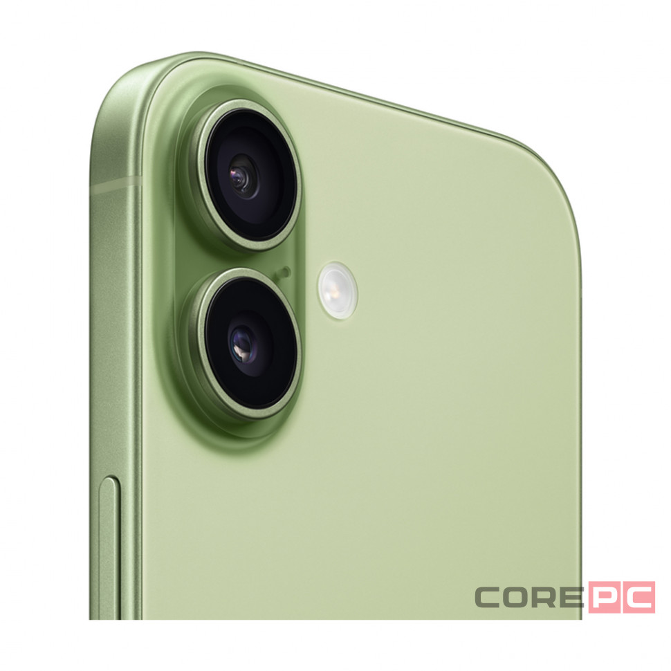 Apple iPhone 17 512Gb (Sage)