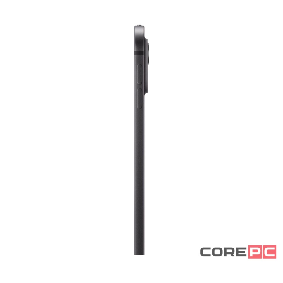 Apple iPad Pro 13 (2024) 2Tb Wi-Fi + Cellular with Standard glass (Space Black)