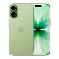 Apple iPhone 17 256Gb (Sage) (eSim)