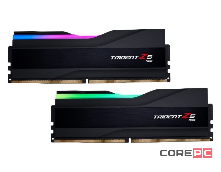 Оперативная память 32 Gb 6000 MHz G.Skill TRIDENT Z5 RGB Black (F5-6000J3636F16GX2-TZ5RK)