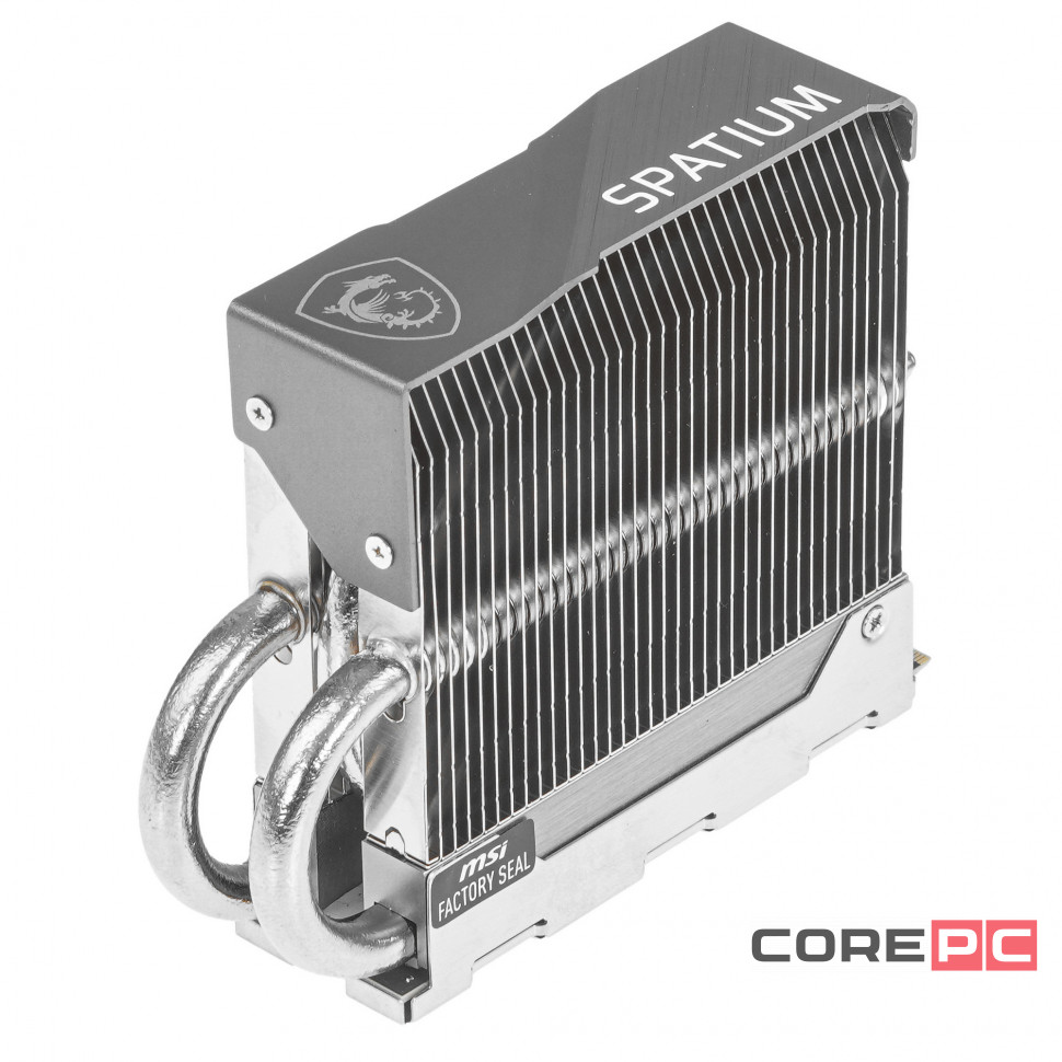 Твердотельный накопитель MSI 2000 Gb SPATIUM M580 FROZR (S78-440Q780-P83)