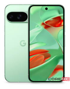 Google Pixel 9 5G 12/256Gb (Wintergreen)