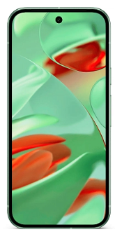 Google Pixel 9 5G 12/256Gb (Wintergreen)