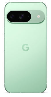 Google Pixel 9 5G 12/256Gb (Wintergreen)