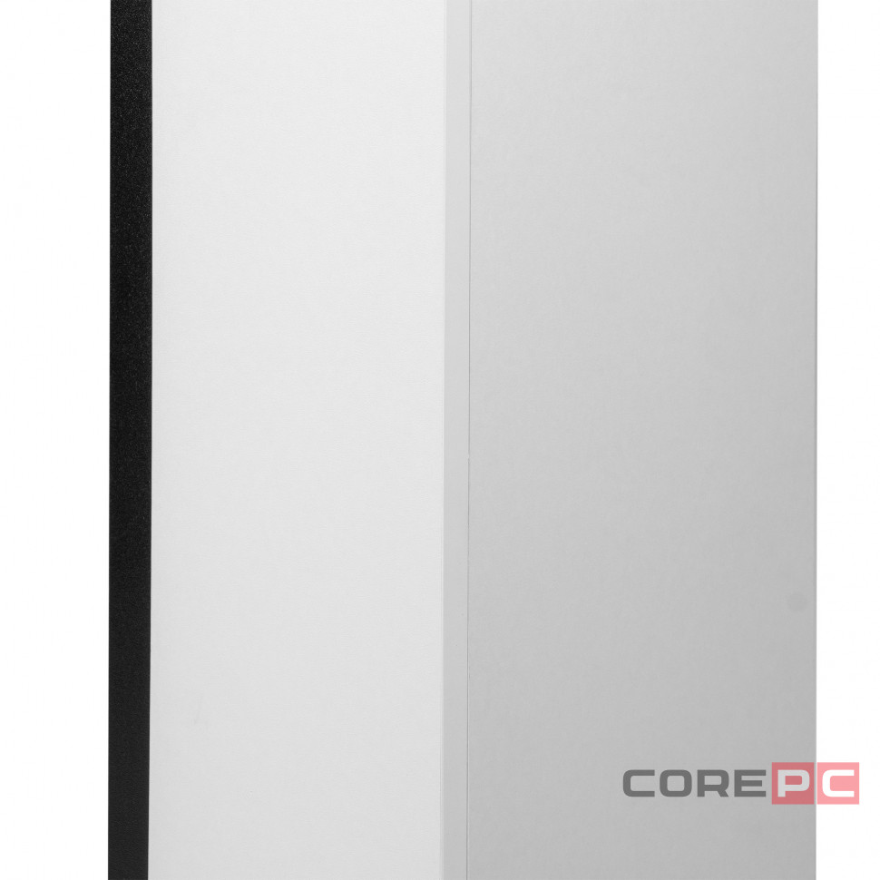 Биокамин Firelight BFP/P-1015 XS+Canto Long белый, черный