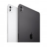 Apple iPad Pro 11 (2024) 512Gb Wi-Fi with Standard glass (Silver)