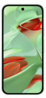 Google Pixel 9 5G 12/128Gb (Wintergreen)
