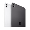 Apple iPad Pro 13 (2024) 1Tb Wi-Fi + Cellular with Nano-texture Glass (Silver)