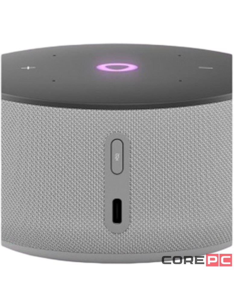 Умная колонка Яндекс Станция Мини 3 с часами серая