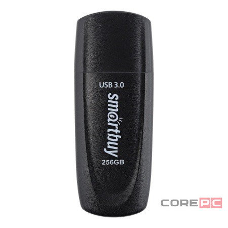 3.0/3.1 USB флеш накопитель Smartbuy 256 GB Scout черный (SB256GB3SCK)